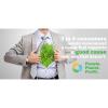 Sustainable and Efficient Business Strategies