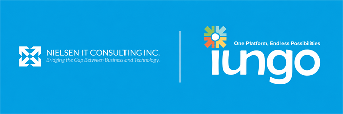 Nielsen IT Consulting Inc. | iungo Software