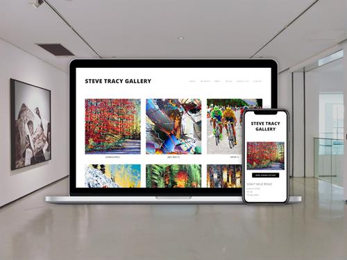 Marketing and Designer for Steve Tracy Gallery