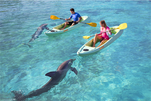 Bahamas Kayaking
