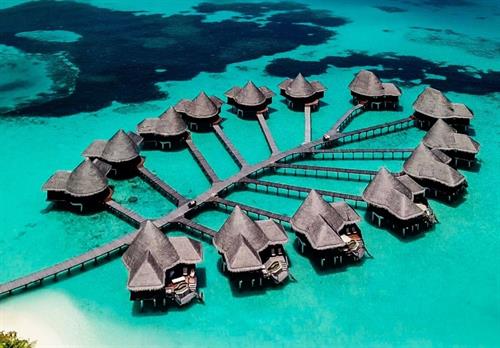Coco Palm Over The Water Bungalows Maldives