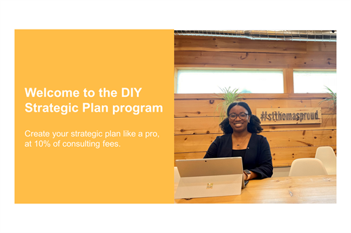 Join the DIY Strategic Plan program