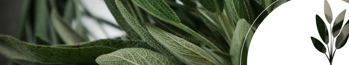 SagePath Consulting Ltd. SagePath Consulting Ltd.