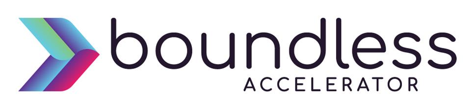 Boundless Accelerator / Boundless Business Consultants 