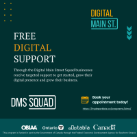 Digital Main Street Grants Program