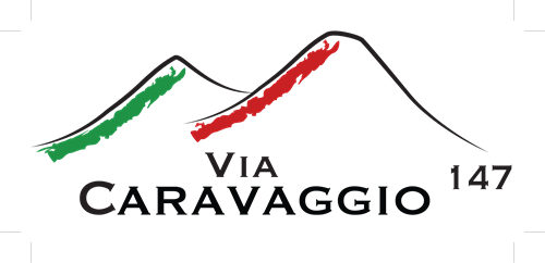 Logo derived from Mt. Vesuvius and the street name where Pat trained in Naples, Italy 