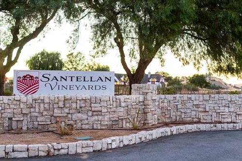 Welcome to Santellan Vineyards