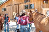 Sweetbeau Horses Wild Mustang Rescue Open House Fundraising Event