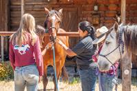 Girls Summer Horse Camp -The American Mustang Experience