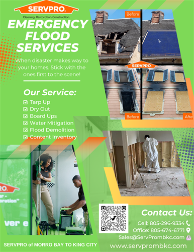 Flood and Water Emergency Services 