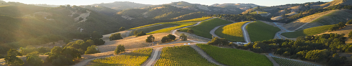 Epoch Estate Wines Epoch Estate Wines