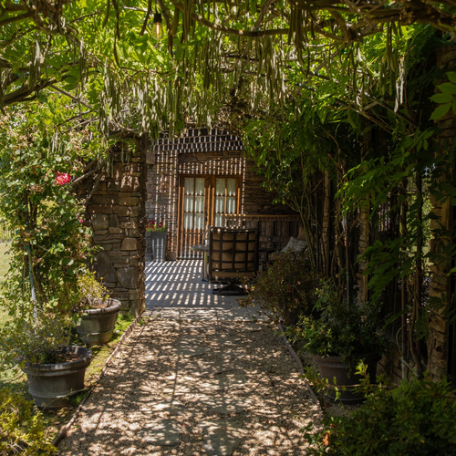 Briarwood Cottage Backyard