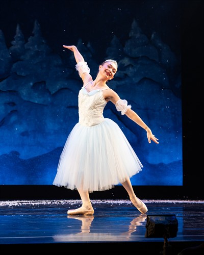 Gallery Image DSC_5590.jpg