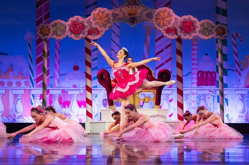 Gallery Image DSC_6118.jpg