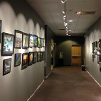 Art Gallery showcasing local artists