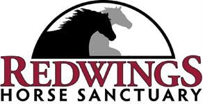 Redwings Horse Sanctuary "COURIR LES CHEVAUX DE Cartes De Noël