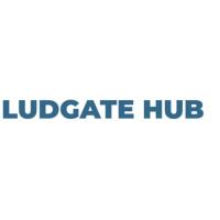 Ludgate Hub: Financial Support Insights