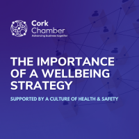 The Importance of a Wellbeing Strategy: Supported by a Culture of Health & Safety