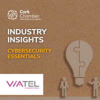 Industry Insights - Cybersecurity Essentials