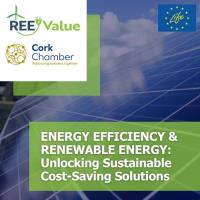 Energy Efficiency & Renewable Energy: Unlocking Sustainable Cost-Saving Solutions