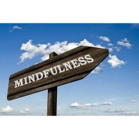 Corporate Based Mindfulness Training (CBMT)