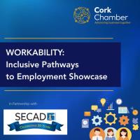 WorkAbility – Inclusive Pathways to Employment Showcase