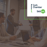 Innovation in Customer Experience - Online