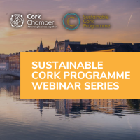 Neurodiversity and Hidden Disabilities: Creating Workplaces Where Every Mind Thrives