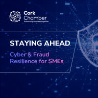 Staying Ahead: Cyber & Fraud Resilience for SMEs