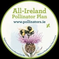 FIT Counts: How to Monitor Pollinators in 10 minutes