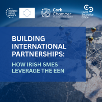 Building International Partnerships: How Irish SMEs Leverage the EEN