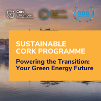 Powering the Transition: Your Green Energy Future - Online
