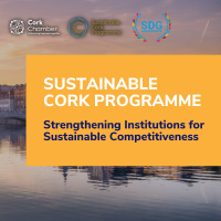 Strengthening Institutions for Sustainable Competitiveness