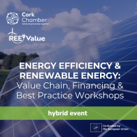 Energy Efficiency & Renewable Energy: Value Chain, Financing & Best Practice Workshops