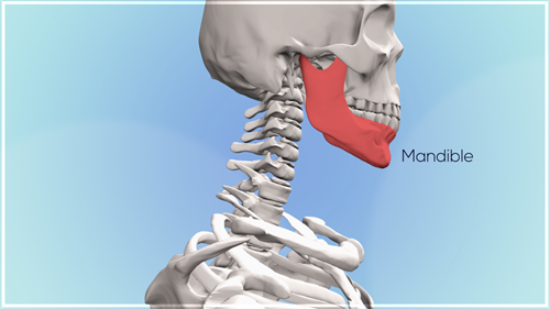 3D Infographics 3D Infographics