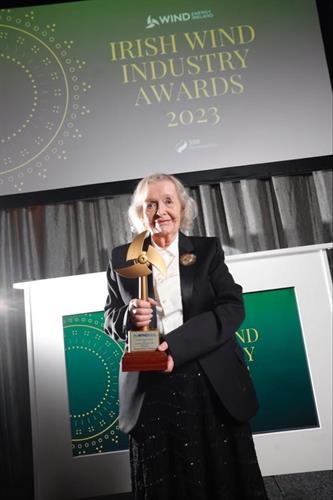 Maureen De Pietro awarded Champion of Renewables at Wind Energy Ireland Irish Wind Industry Awards