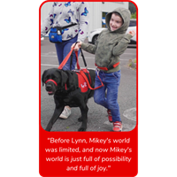 Autism Assistance Dogs Ireland Call on the Cork Business Community to support Urgent Appeal for Funding.