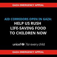 Famine Unfolding in Gaza