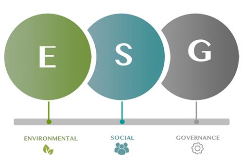 ESG (environmental, social, governance)