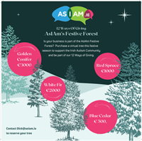12 Ways of Giving , AsIAm's Festive Forest