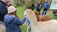 FineOaks Alpacas at Pet Expo - Mallow Home and Garden Show