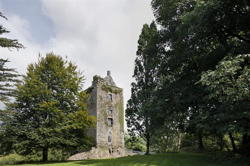 Dripsey Castle 