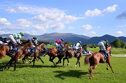Gallery Image Killarney_Stalls_Start_Mountains_13525_3.jpg
