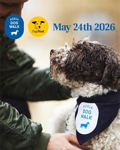 Gallery Image Dog_Walk_images-3.png