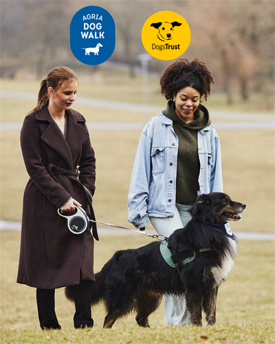 Gallery Image Dog_Walk_images-6.png