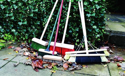 Selection of Brooms