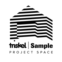 Triskel Sample Project Space, a new partnership between Triskel and Sample-Studios