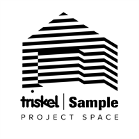 Triskel Sample Project space visual arts development programme in Cork continues into a New Year