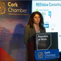 Accelerating Sustainability in Irish Business