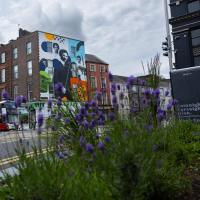 Cork Chamber appointed Sustainable Development Goal Ambassador by Government